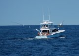 Jarrett Bay 53